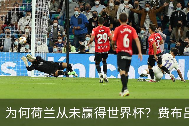 为何荷兰从未赢得世界杯？费布吕亨：因为我们进了决赛，没赢下来