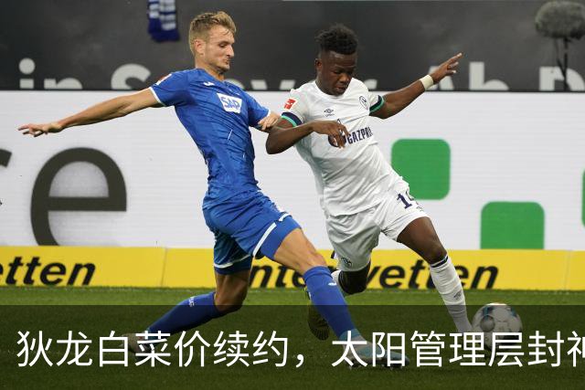 狄龙白菜价续约，太阳管理层封神了